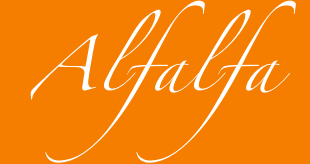 logo-alfalfa